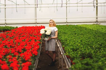 Beautiful young smiling girl in dress, worker with flowers in greenhouse. Girl holds white flowers.の写真素材