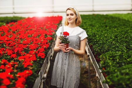 Beautiful young smiling girl, worker with flowers in greenhouse. Concept work in the greenhouse, flowers. Copy space.の写真素材