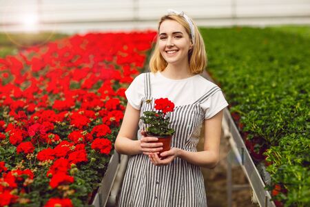 Beautiful young smiling girl, worker with flowers in greenhouse. Concept work in the greenhouse, flowers. Copy space.の写真素材