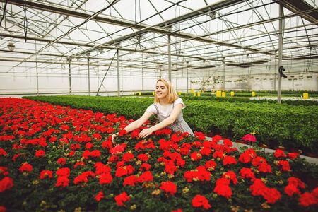 Beautiful young smiling girl, worker with flowers in greenhouse. Concept work in the greenhouse, flowers. Copy space.の写真素材