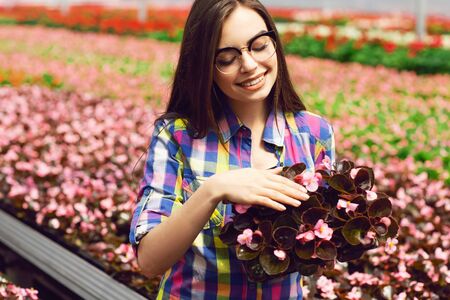 Beautiful smiling girl in glasses, worker with flowers in greenhouse. Girl holds flowers of begonias.の写真素材