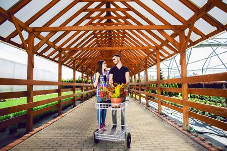 Young couple with a carriage full of different plants in the greenhouse.の写真素材