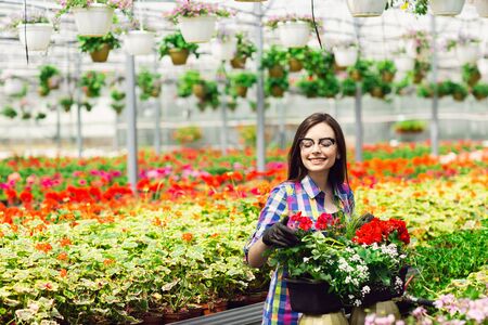 Beautiful young smiling girl in glasses, worker with flowers in greenhouse. Concept work in the greenhouse, flowers. Copy spaceの写真素材