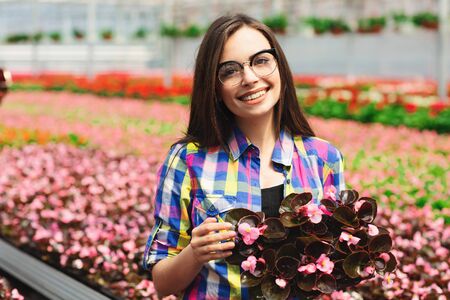 Beautiful smiling girl in glasses, worker with flowers in greenhouse. Girl holds flowers of begonias.の写真素材