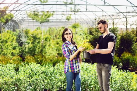A young couple, a boy in a black T-shirt and a girl in glasses, keep a pot with a green plant. Shopping in a greenhouse.の写真素材