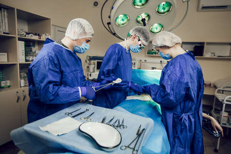 Portrait of team of surgeons at work. Three doctors in medical masks in operations begin to operate on the patient. Doctors in surgery, treatment and medicineの写真素材