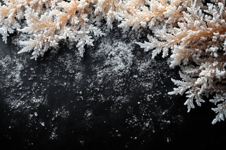 Decorated with Christmas tree. Winter holiday theme. black background.