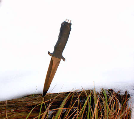 U.S.Armyの写真素材