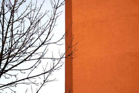 Orange houseの写真素材