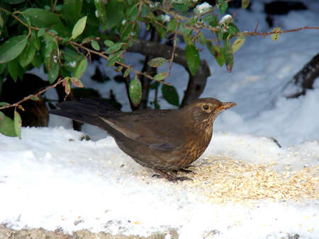 Spacek Iの写真素材