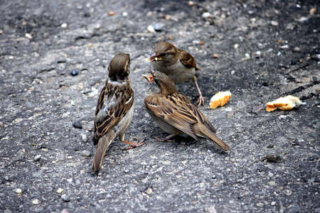 Hungerの写真素材