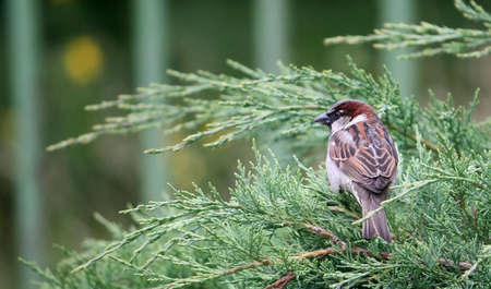 Time outの写真素材