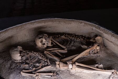 Paleolithic age skeleton in Anatolia foundings in excavation of Hattusa Bogazkoy Reliefs tablets statues walls gates cylinder seals stamp sealsのeditorial素材