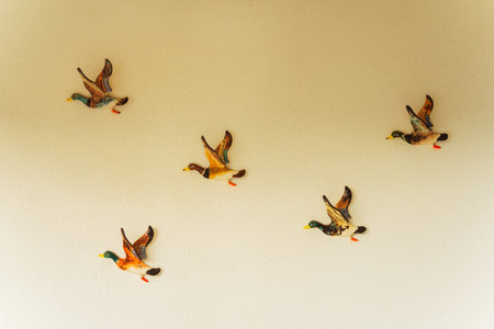 A group of four ducks is on a wallの写真素材