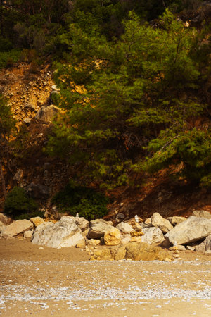 A hillside view featuring trees and rocksの写真素材