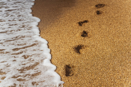 Beautiful wave on sandy beach with footprintsの写真素材