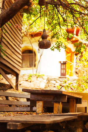 A table and benches under a tree with a lantern hangingの写真素材