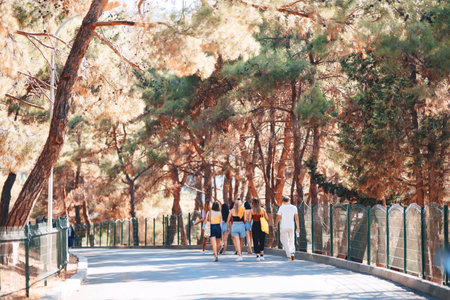 group of people walking on the road in princes islands. tourists in a park in istanbulの写真素材