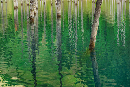 Lake Kaindy in the mountains Almaty. Frozen pines in icy water Kazakhstan. Tree trunks in the lakeの写真素材