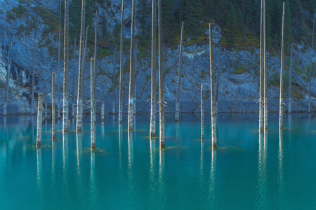 lake kaindy with cold icy water. mountain lake in kazakhstanの写真素材