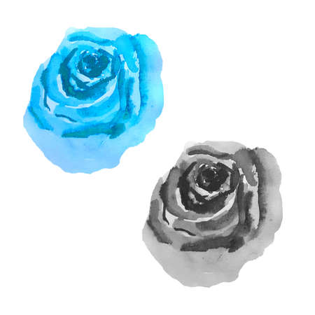 two watercolor rose in blue and blackの写真素材