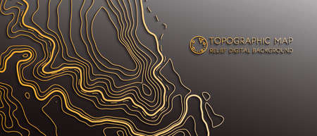 Map line of topography. Vector abstract topographic map concept with space for your copy. Black and...