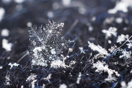 Snowflake natural macroの写真素材
