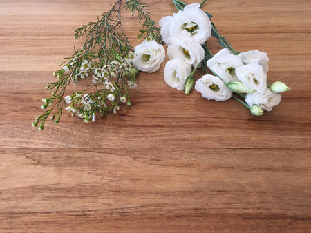 flower on the wood tableの写真素材