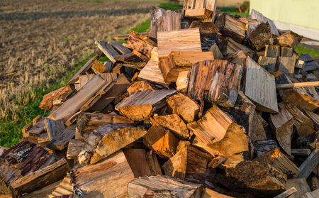 Cut trunks, a pile of firewood lying behind the house in the field.
