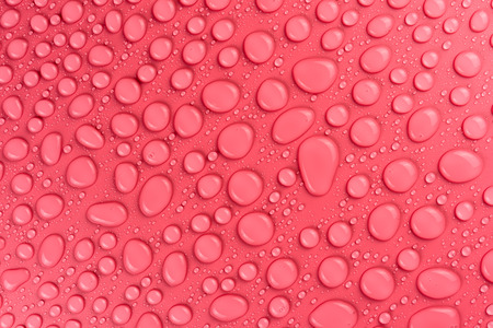 Droplets of water on a pink background, matte background illuminated with a delicate light.