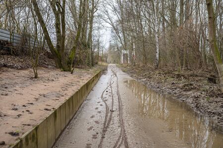 The high state of the river Rhine in western Germany, which emerged from the riverbed, flooded...