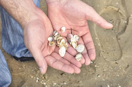 A man holding a lot of shells in his hands, in the background a beach wet from the sea.