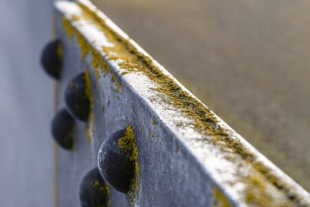 Macro shot of the metal edge surface of a pillar bridge with protruding rivets and moss covered on it, selective focus.の写真素材