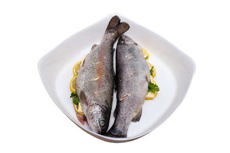 Fresh, raw two trout lying on a plate, stuffed with butter, parsley and lemon slices, isolated on a white backgroundの写真素材