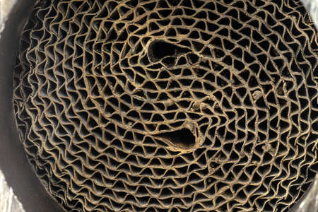 Macro shot of a metal strip catalyst made of heat-resistant chrome-nickel steel.の写真素材