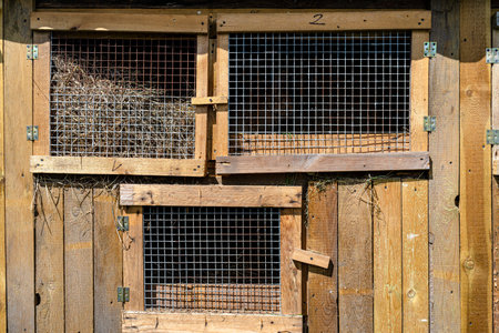 Wooden cage with a metal net on the door for breeding rabbits, standing in the countryside.の写真素材
