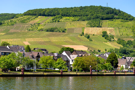 Cochem, Germany, June 13, 2021. Residential houses along the river in the tourist town of Cochem on the Moselle River in Rhineland-Palatinate, Germany. In the background the vineyards on the hills.のeditorial素材