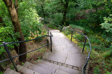 Concrete stairs with steel handrails in a dense forest, going down.の写真素材