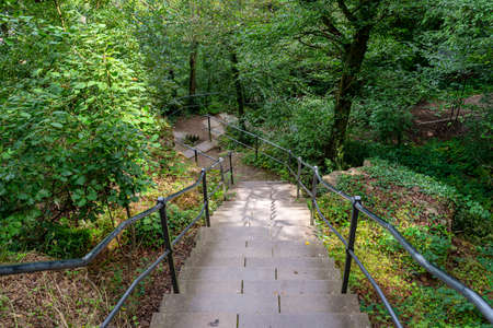 Concrete stairs with steel handrails in a dense forest, going down.