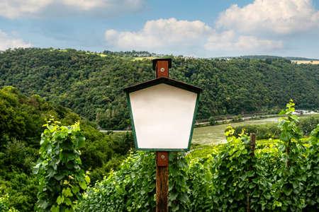 Blank wooden sign on a wooden post in wineries in the background hills with forest.の写真素材