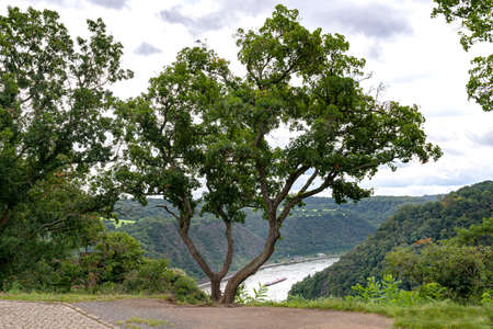 The river Rhine in western Germany flows between the hills covered with forest, visible trees...
