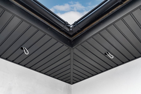 A modern graphite herringbone roof lining is attached to the trusses, visible cables and holes for LED lighting.の素材 [FY310185143982]