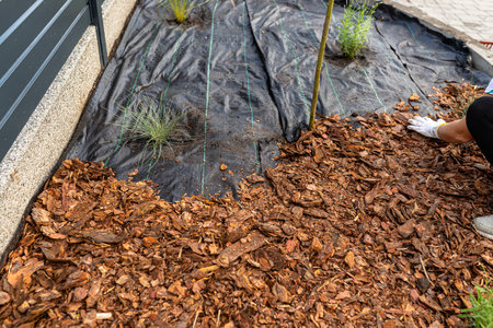The plowed garden in front of the fence by the house, covered with black agrofibre, the woman is spreading the shoulder with her hands.の写真素材