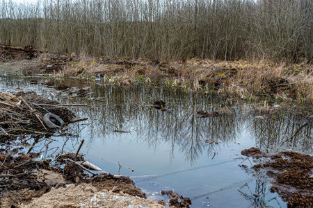 Excavated swamps with high groundwater, visible garbage and peat.の写真素材