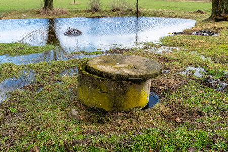 A swamp in a field in a village with trees growing nearby and a well visible.