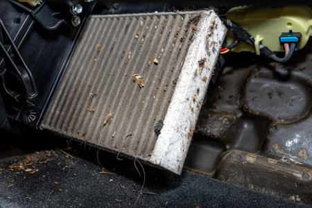 Removing a dirty cabin filter from a cars dashboard, difficult access.の写真素材