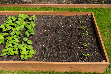 A wooden crate with various vegetables, standing on the grass in the garden.の写真素材