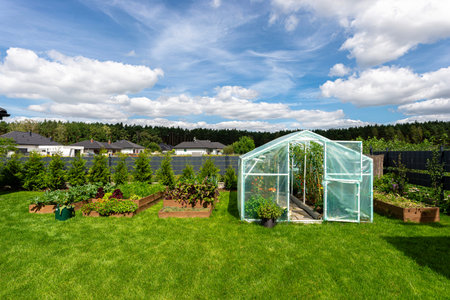 Backyard greenhouse made of foil standing on the grass behind the house.の写真素材