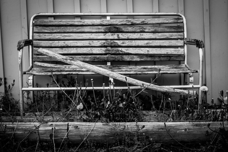 Lonely old wooden bench in the grassの写真素材