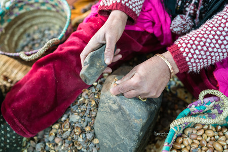 Processing argan seeds , the famous product of Moroccoの写真素材